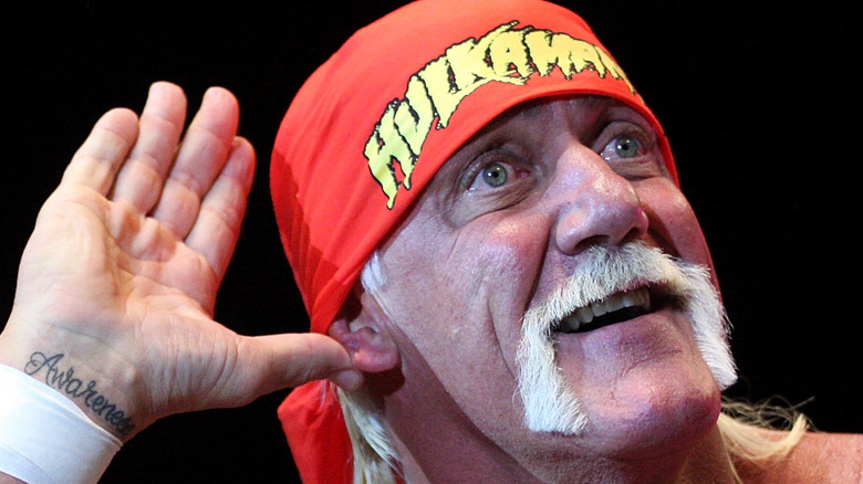 Hulk Hogan smiling