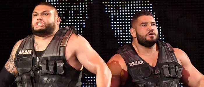 Authors Of Pain Cropped