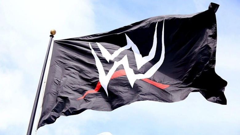 wwe logo flag