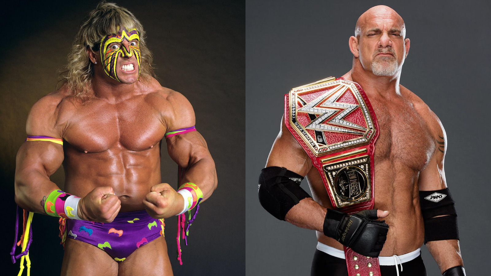 Why AEW's Tony Schiavone Dismisses Ultimate Warrior Being Compared To Goldberg - Vimarsana News
