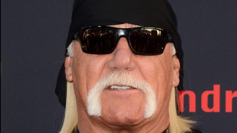 Hulk Hogan