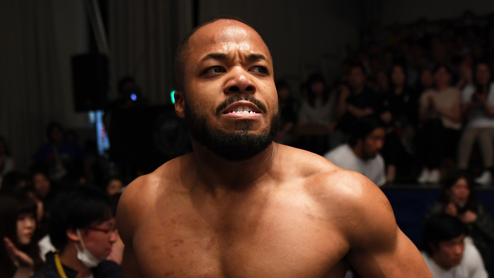 Why Impact's Jonathan Gresham Wishes Wrestling Fans Were Less Invested In Wrestling - Vimarsana News