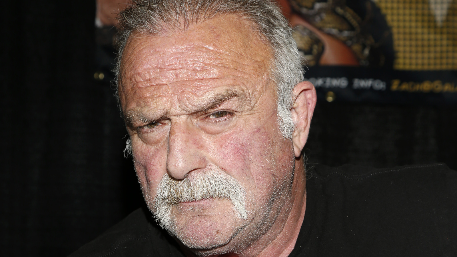 Why WWE Hall Of Famer Jake Roberts Isn't Surprised By Billy Jack Haynes' Arrest