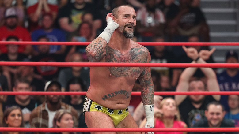 CM Punk in the ring