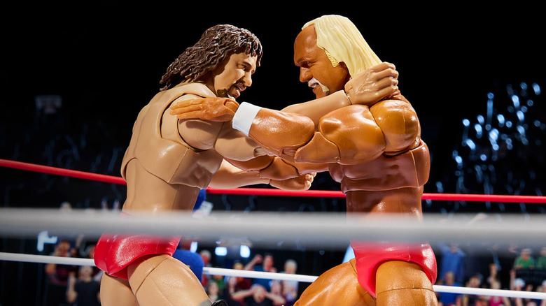Terry Funk Hulk Hogan action figures