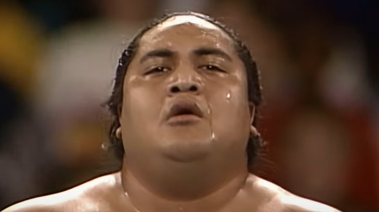 Yokozuna sweating in ring