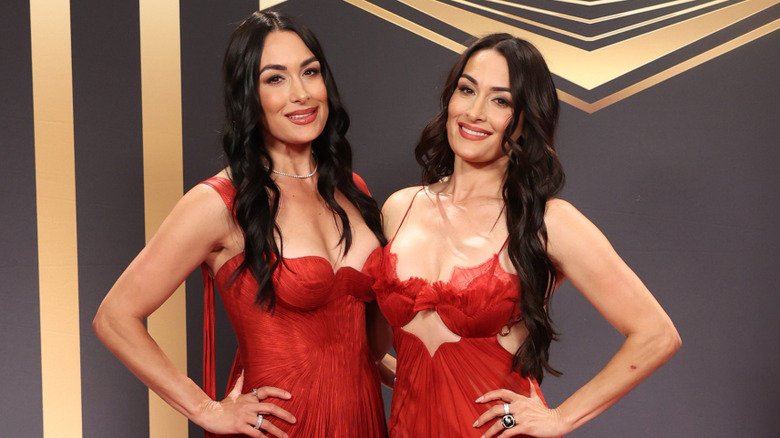 Bella Twins Brie and Nikki Bella on the Red Carpet of the 2025 Hall of Fame at BleauLive Theater at Fontainebleau Las Vegas on April 18, 2025 in Las Vegas, Nevada.