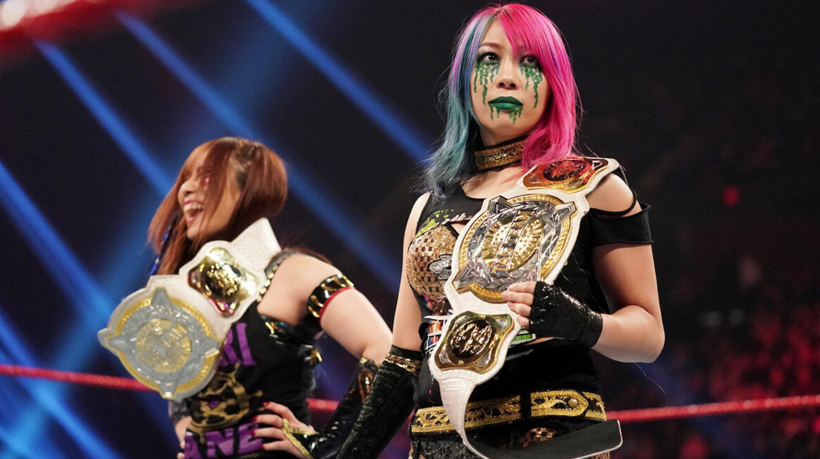 WWE Hall Of Famer Road Dogg Gets Candid About The Women's Tag Division - Vimarsana News