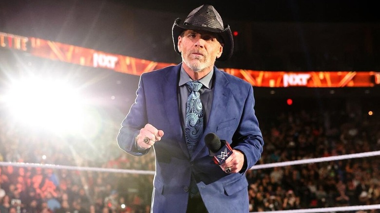 Shawn Michaels in the ring