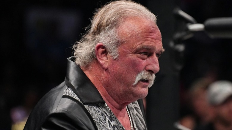 Jake Roberts stares into the ring