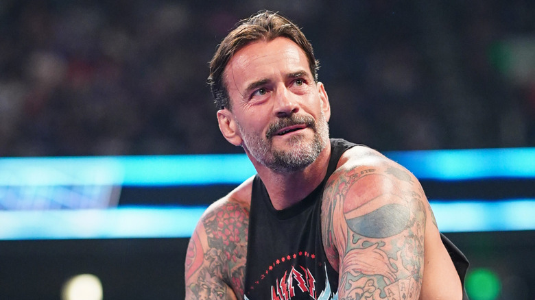CM Punk in the ring