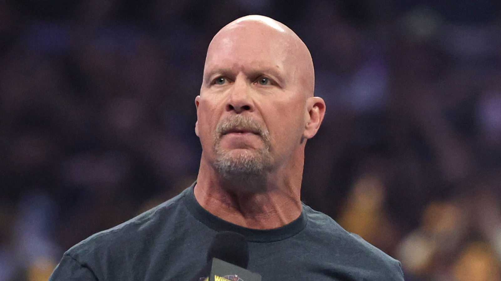 WWE HOFer Jim Ross Doesn't Believe Stone Cold Steve Austin Will Wrestle Again