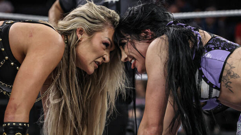 Paxley and Dame staring each another down in the ring