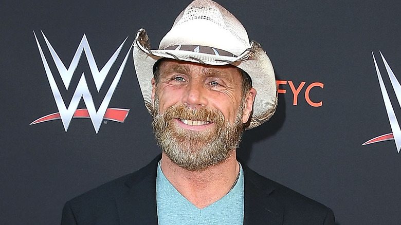 Shawn Michaels, happy about the attendance record