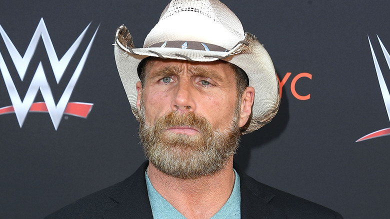 Shawn Michaels wearing a cowboy hat in front of a WWE background