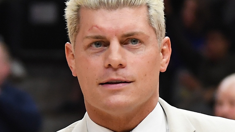 Cody Rhodes looking