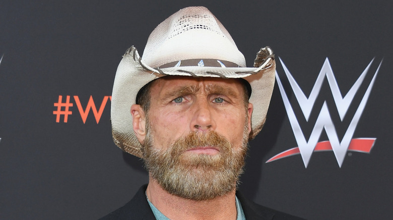 Shawn Michaels learning NXT went rogue and attacked TNA again