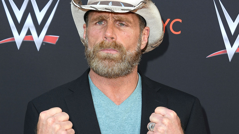 Shawn Michaels puts his fists up