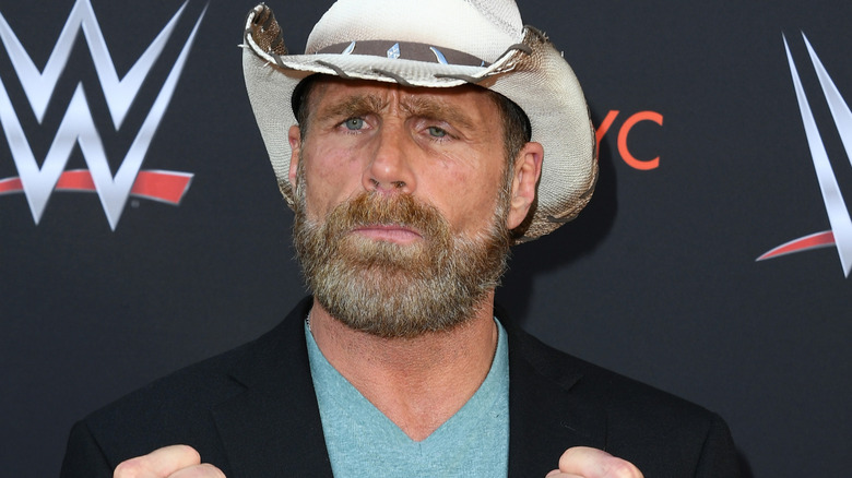 Shawn Michaels attends WWE's first-ever Emmy 