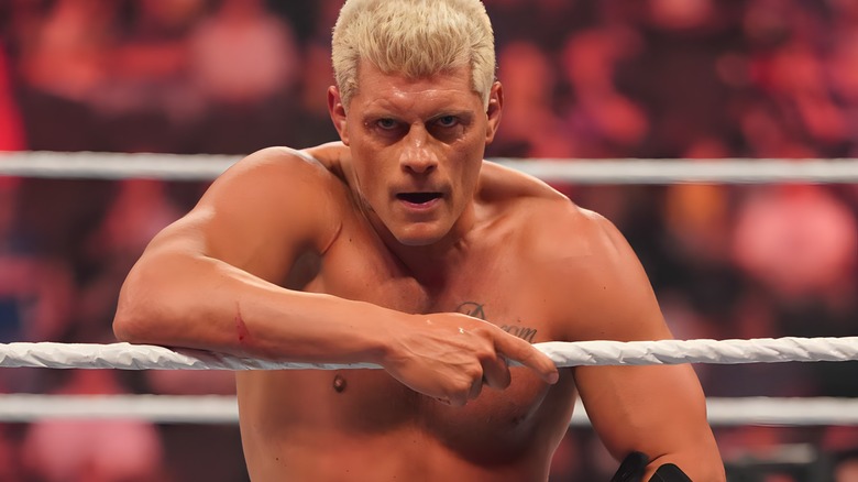 Cody Rhodes stares