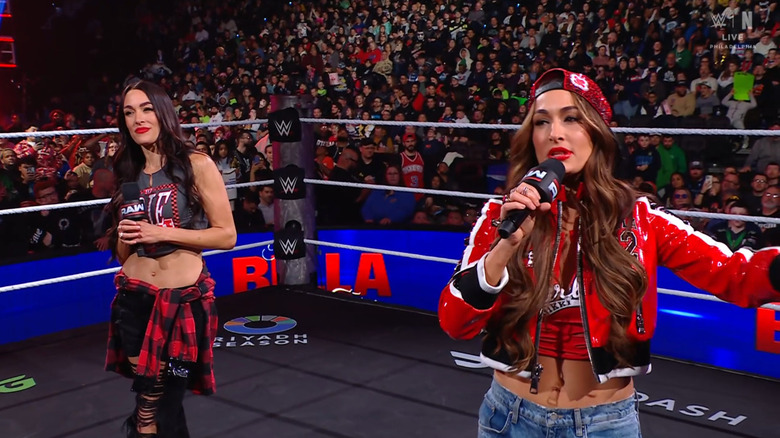 Brie and Nikki talking in the ring