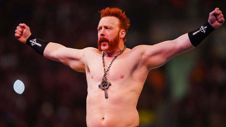 Sheamus at the 2023 Royal Rumble