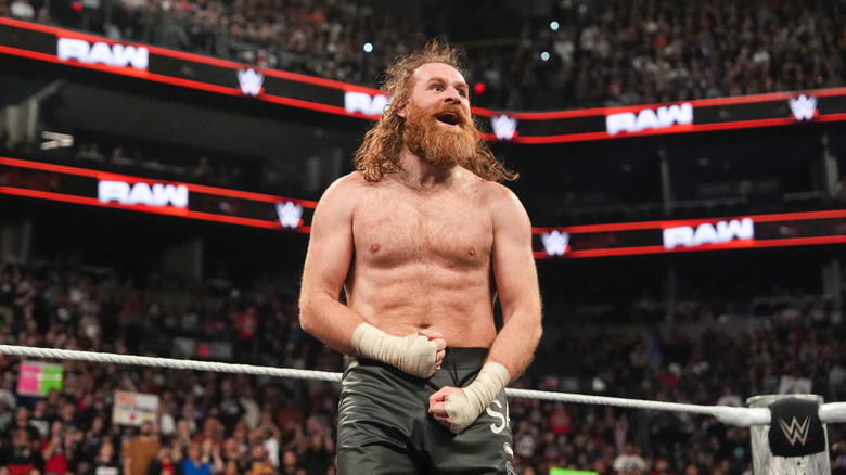 Sami Zayn in th ring
