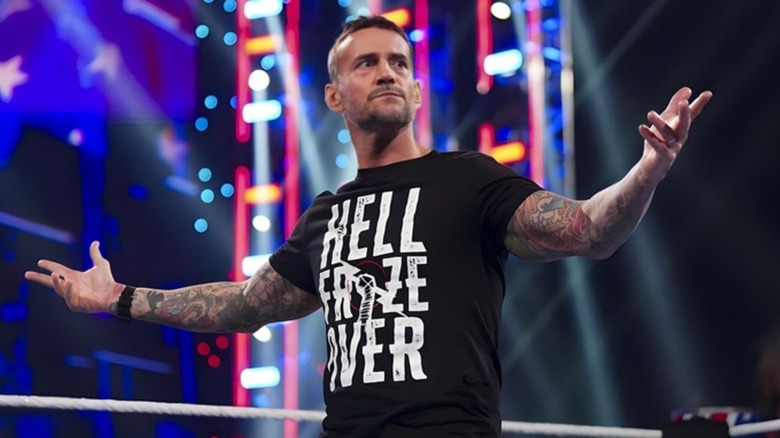 CM Punk in the ring