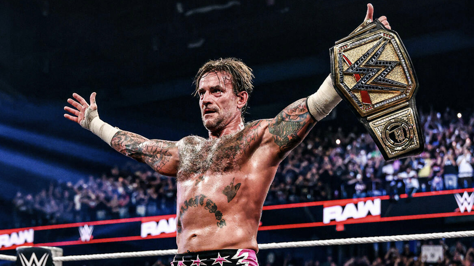 WWE SummerSlam Saturday Results 8/1 - Two Titles On The Line, Hell In A Cell Match & More