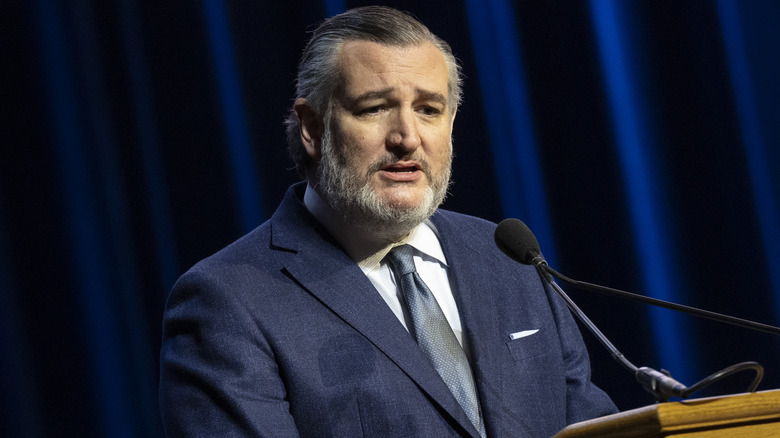 Senator Ted Cruz
