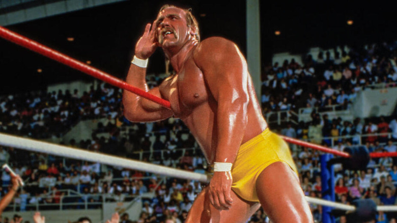 Hulk Hogan posing