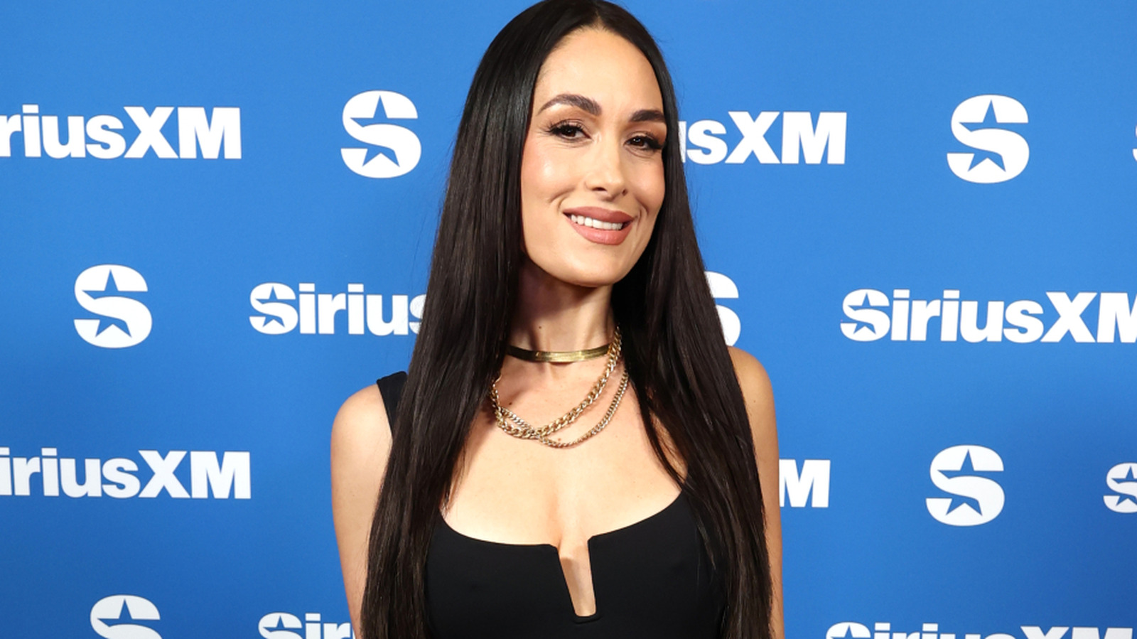WWE’s Brie Bella Eyeing Eventual Return To Singles Division