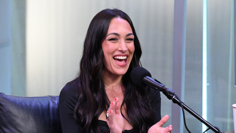 Brie Bella during an interview