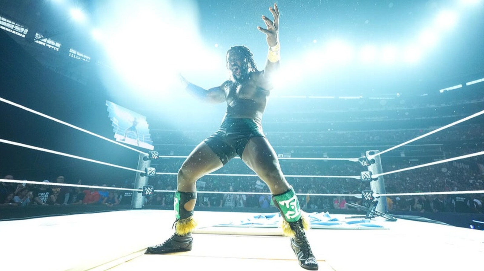 WWE's Bronson Reed Appears To Throw Shade On Oba Femi's Win At WWE SummerSlam 2026