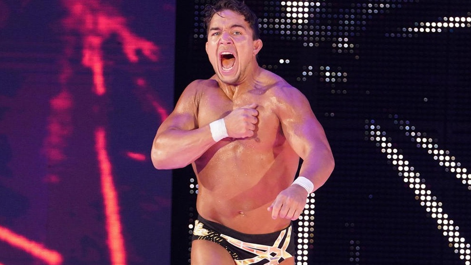 WWE's Chad Gable Says He Hasn't Even Begun To Peak - Vimarsana News