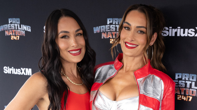 Nikki and Brie Bella