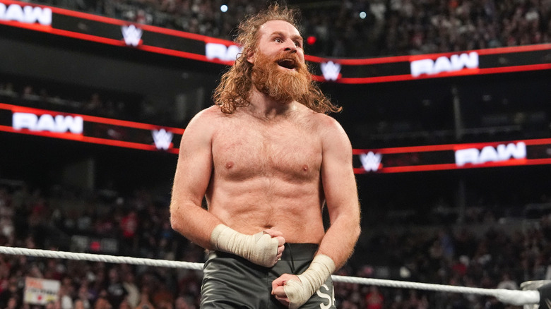 Sami Zayn in the ring on WWE Raw