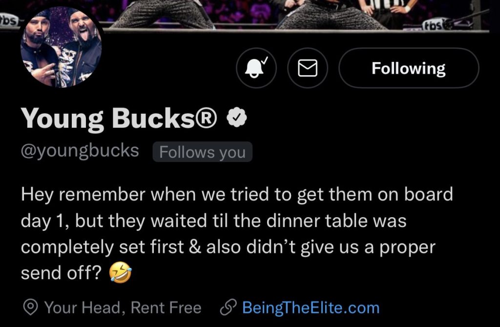 The Young Bucks bio