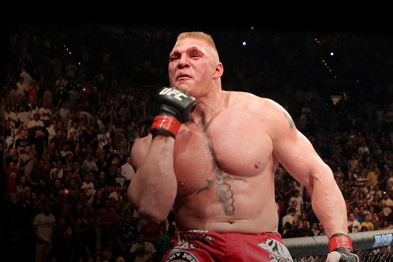 brock lesnar in the ufc